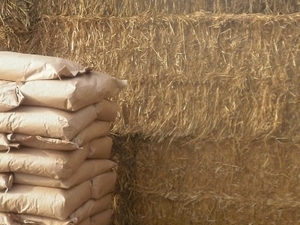  Производим пеллеты из соломы. Straw pellets грн.0