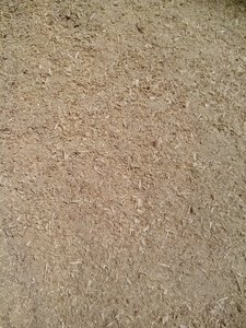 Тырса, Щепа грн.0