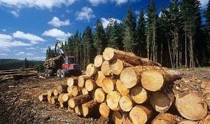 ТЭЦ на древесных гранулах из эвкалипта начала действовать в Бразилии с марта 2014 ##f_price|CURR_SIGN##