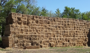 Продам солому озимой пшеницы грн.300