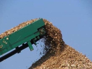 Tohoku Electric Power запустит электростанцию на древесной щепе в апреле 2015 ##f_price|CURR_SIGN##