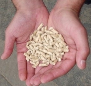 Компания заинтересована в древесных пеллетах EN+, A1 грн.1