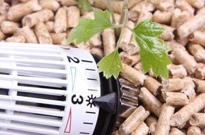 Весной 2014 цена на древесные гранулы в Европе упала до своего минимума грн.0