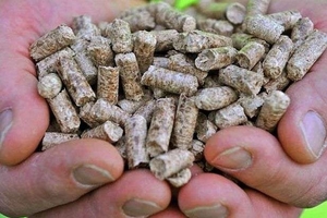 Производство древесных пеллет принесет Viridis Energy $ 30 млн. в 2014 ##f_price|CURR_SIGN##