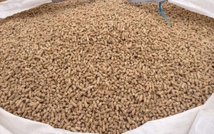 В Чехии обнаружены случаи фальсификации ENplus сертификатов на древесные пеллеты ##f_price|CURR_SIGN##