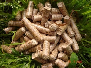 Продам пеллеты из хвойных пород деревьев 6мм.8м грн.100