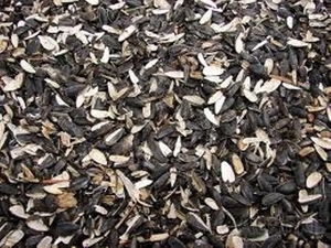 Куплю лузгу подсолнечника в любом объеме грн.0