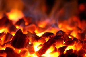 Польша увеличила объем импорта украинского древесного угля на 20% в 2013  ##f_price|CURR_SIGN##