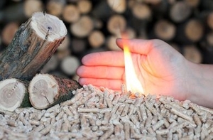 В Австрии в 2014 объем производства пеллет составит более миллиона тонн ##f_price|CURR_SIGN##