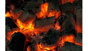 Древесный уголь из твердых пород дерева грн.0