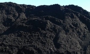 Продам Угольный шлам марки "Г" грн.