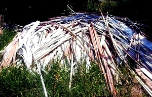 Продам обрезки ПВХ профиля белого и бежевого цвета грн.0