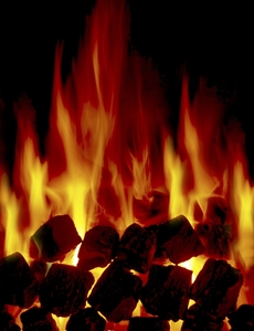 Древесный уголь и древесно угольный брикет на экспорт грн.0