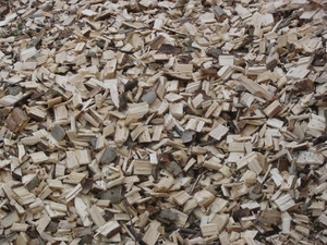 Предлагаю щепу топливную грн.170