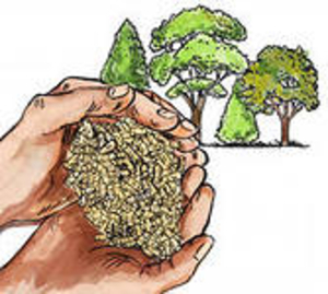 Реализуем древесные пеллеты грн.180