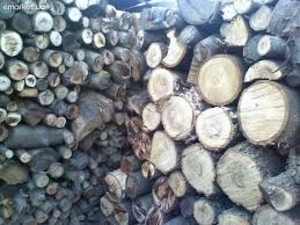 Дрова фруктовые для мангалов и коптильни грн.350