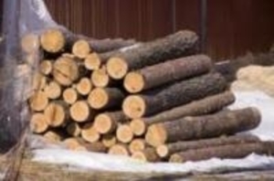 Продам Дрова твердолиственных пород грн.0