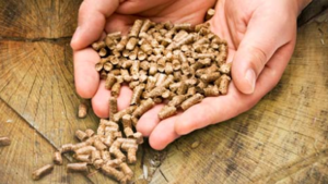 Цена украинских древесных пеллет достигла отметки 180 €/т. в 2014 грн.0