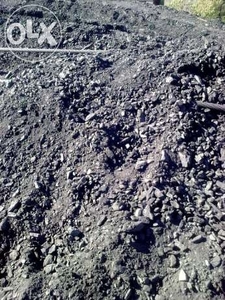 Продам уголь АС (6-13) грн.0