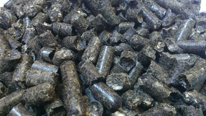 Покупаем гранулу из лузги подсолнечника и агроотходов грн.0