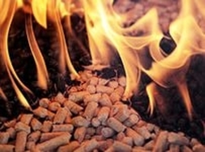 Продаем пеллеты древесные 6мм и 8мм из сосны грн.2300