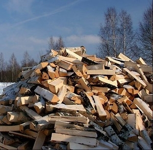Дрова березовые колотые  грн.450