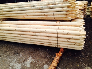 Колья садовые, виноградные, опоры лэп грн.0