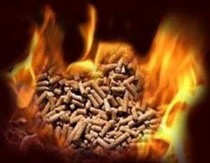 Пеллета из лузги по ценам производителя грн.1400