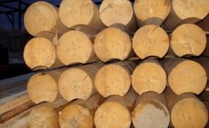 Пиломатериалы, брус, доска грн.0