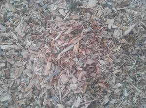 Продадим щепу топливную грн.0