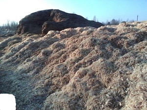 Продаем стужку от оцилиндрованного бревна грн.20