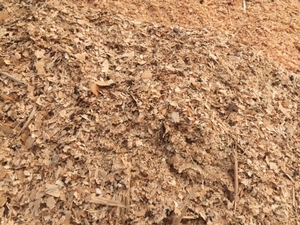 Щепа топливная от производителя грн.250000