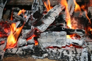 куплю  древесный  уголь грн.0