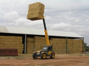 Телескопический погрузчик DIECI ZEUS 37.7 грн.