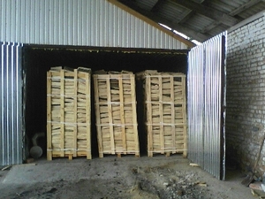 Дрова колотые камерной сушки грн.100