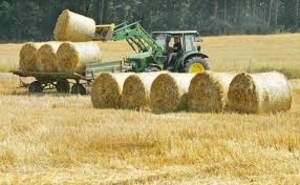 Прессованная солома (пшеничная) грн.1200