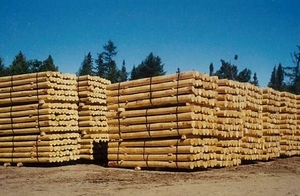 ЕС увеличил объем импорта украинской древесины на четверть в 2014 ##f_price|CURR_SIGN##
