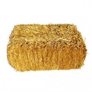 Пшеничную солому в тюках (10-13 кг) по 12 грн грн.12