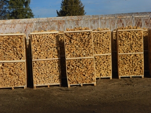 Дрова колотые камерной сушки дуб, граб, бук грн.0