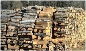 Дрова твердых пород дерева грн.400