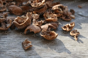 Продам скорлупу грецкого ореха грн.500