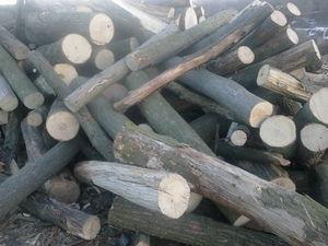 Продам дрова (граб, дуб, ясен) грн.0