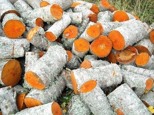 Продам колоті дрова (бук, граб, дуб) грн.2100