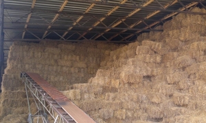 Продам солому ячневую грн.900