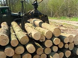 Продам обрезную доску разных пород древесины грн.0