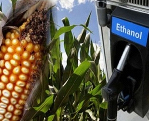 В 2015 году американский рынок биотоплива уверенно набирает обороты ##f_price|CURR_SIGN##