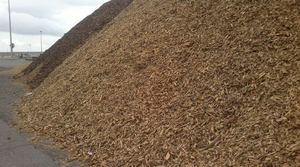 7 идей для использования древесной щепы в Украине в 2015 году ##f_price|CURR_SIGN##