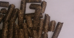 Продам пиллеты из отходов сельхоз продукции грн.1000