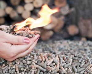 Бельгийский энергетический рынок получил зеленый сертификат на производство древесных пеллет грн.0