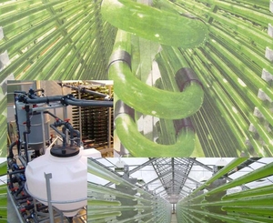 Затопленные шахты Корнуэлла с 2105 года станут источником биотоплива ##f_price|CURR_SIGN##